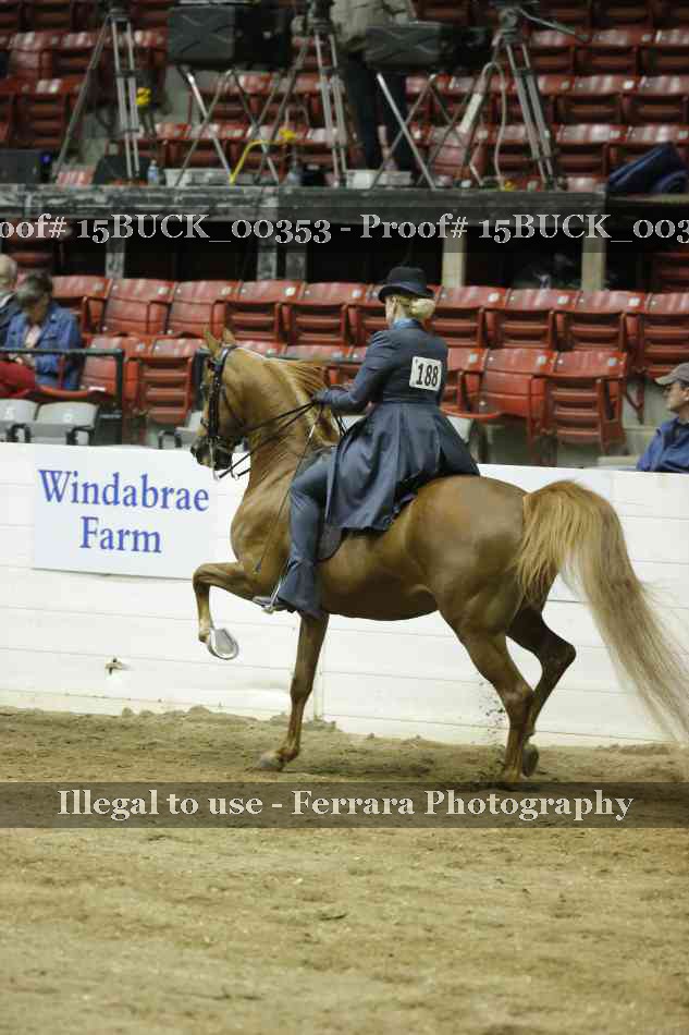 Proof 15BUCK_00353