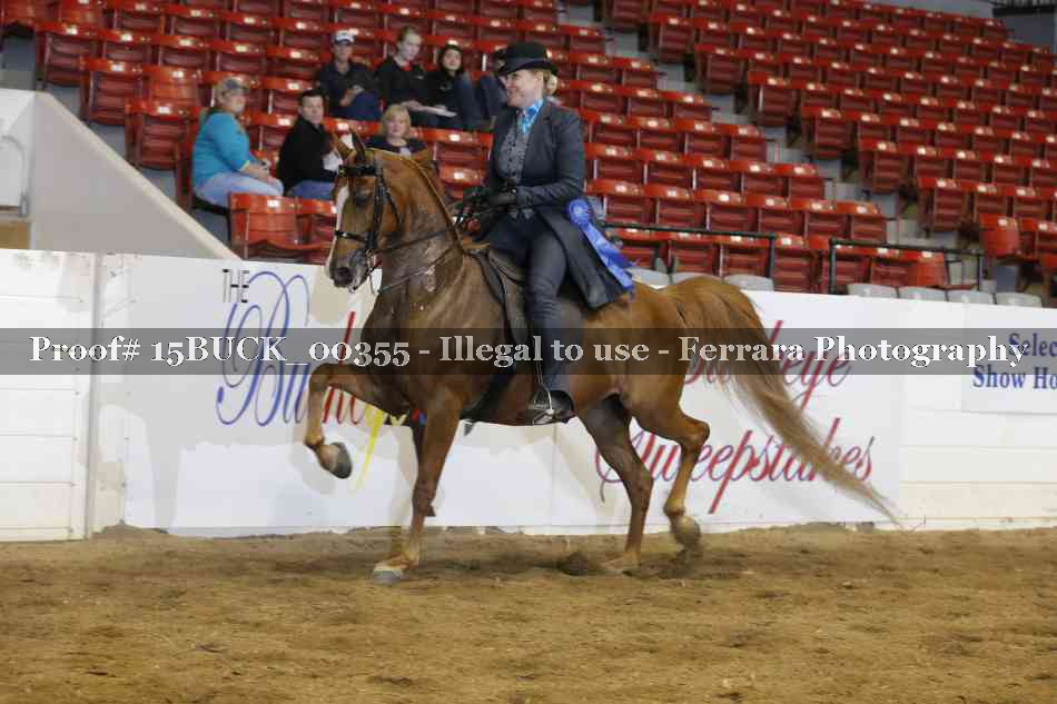Proof 15BUCK_00355