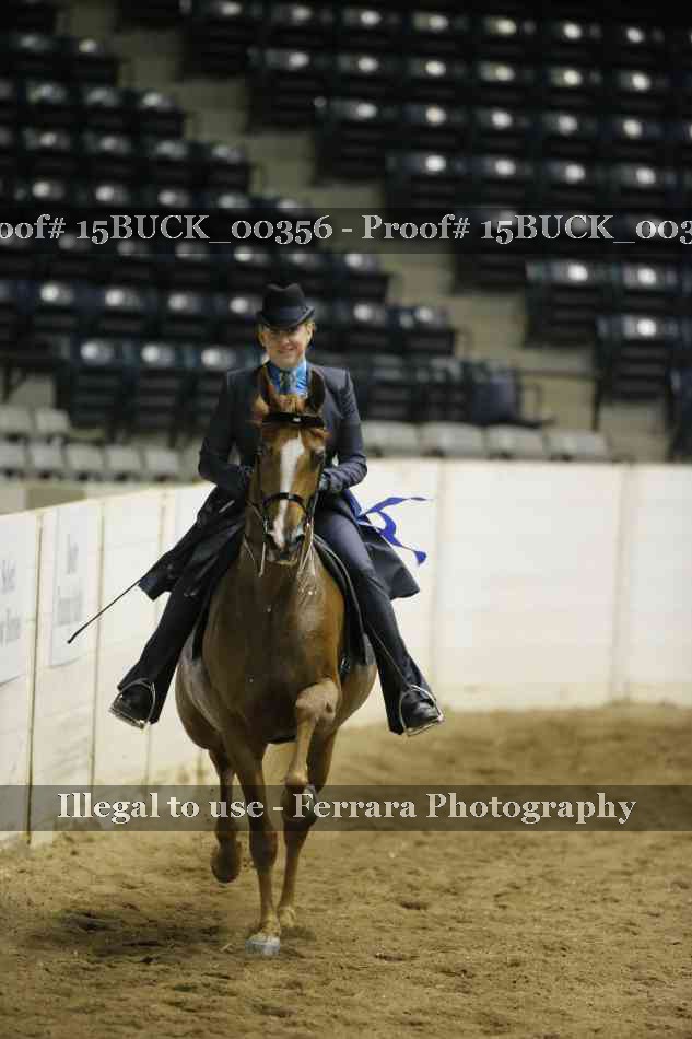 Proof 15BUCK_00356