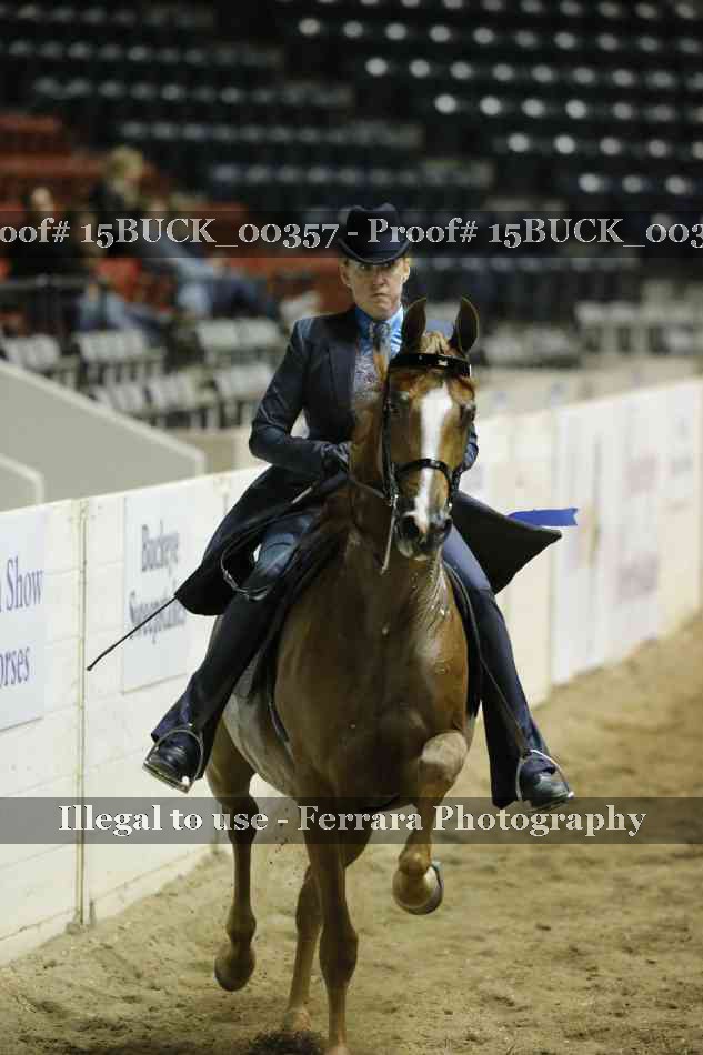 Proof 15BUCK_00357
