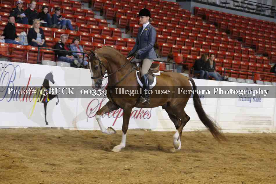Proof 15BUCK_00359