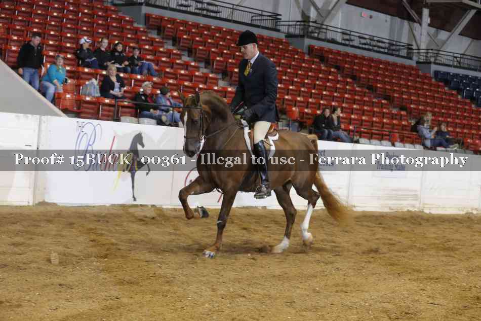 Proof 15BUCK_00361