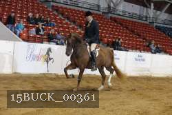 15BUCK_00361 proof