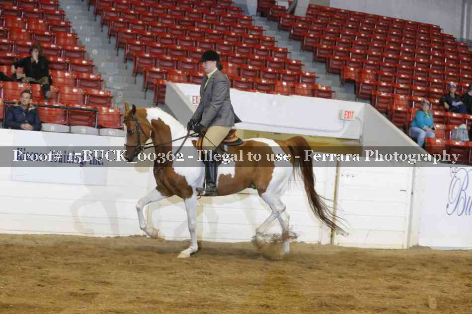 Proof 15BUCK_00362