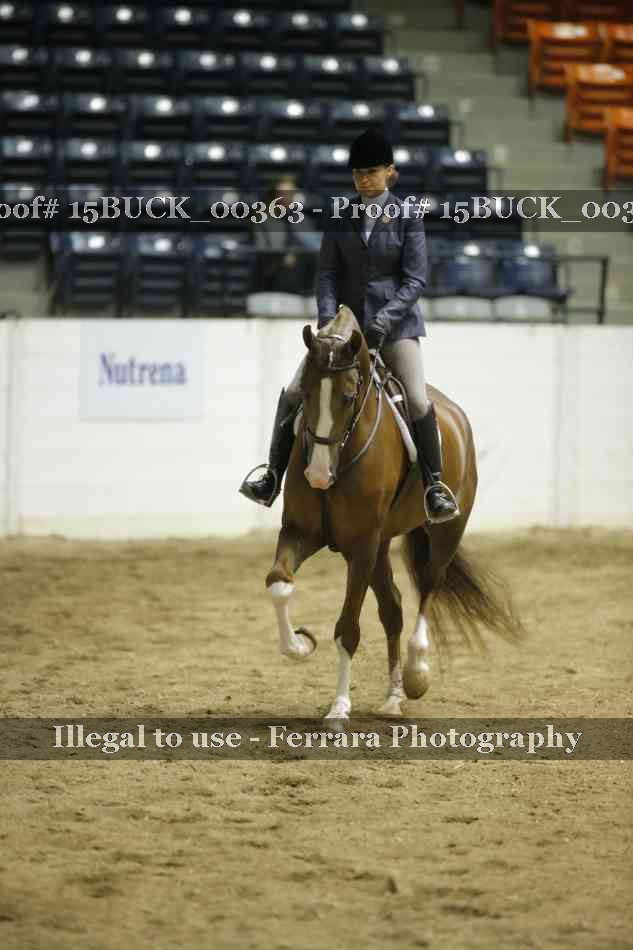 Proof 15BUCK_00363