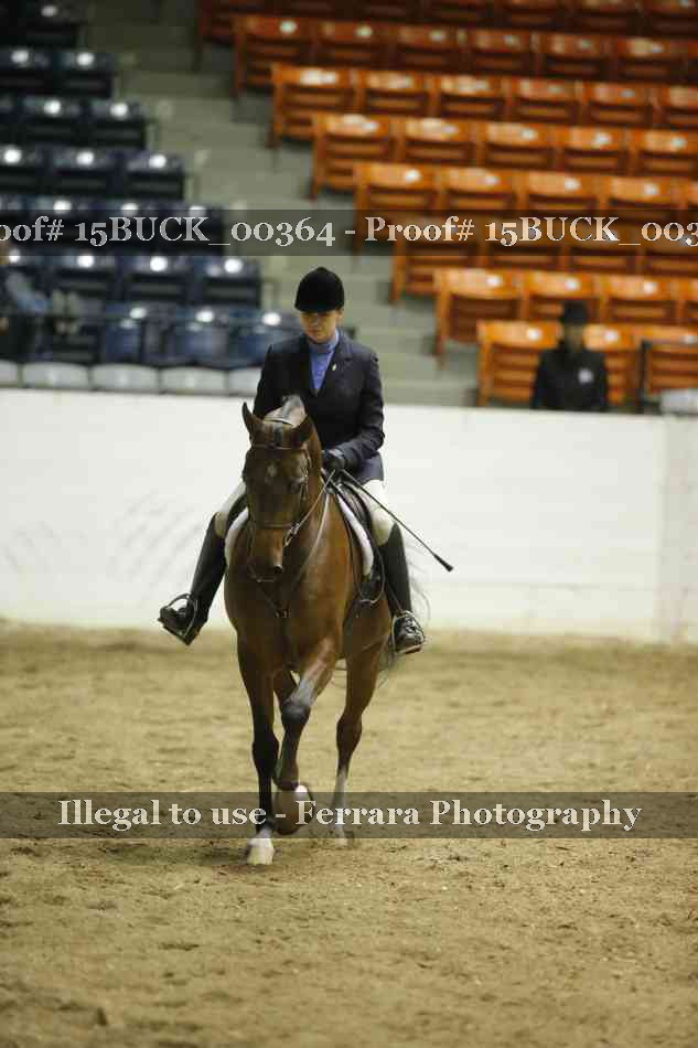 Proof 15BUCK_00364