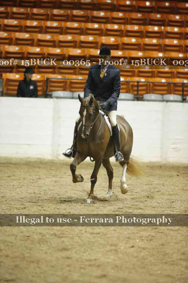 Proof 15BUCK_00365