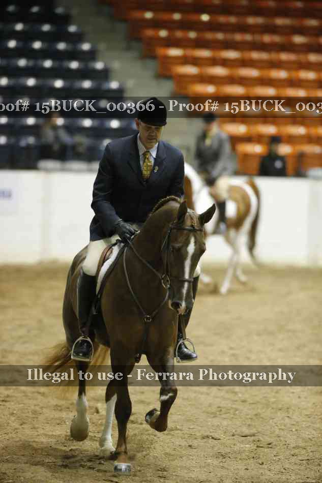 Proof 15BUCK_00366