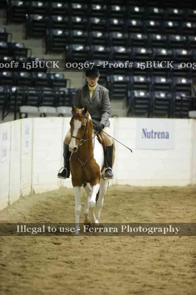 Proof 15BUCK_00367