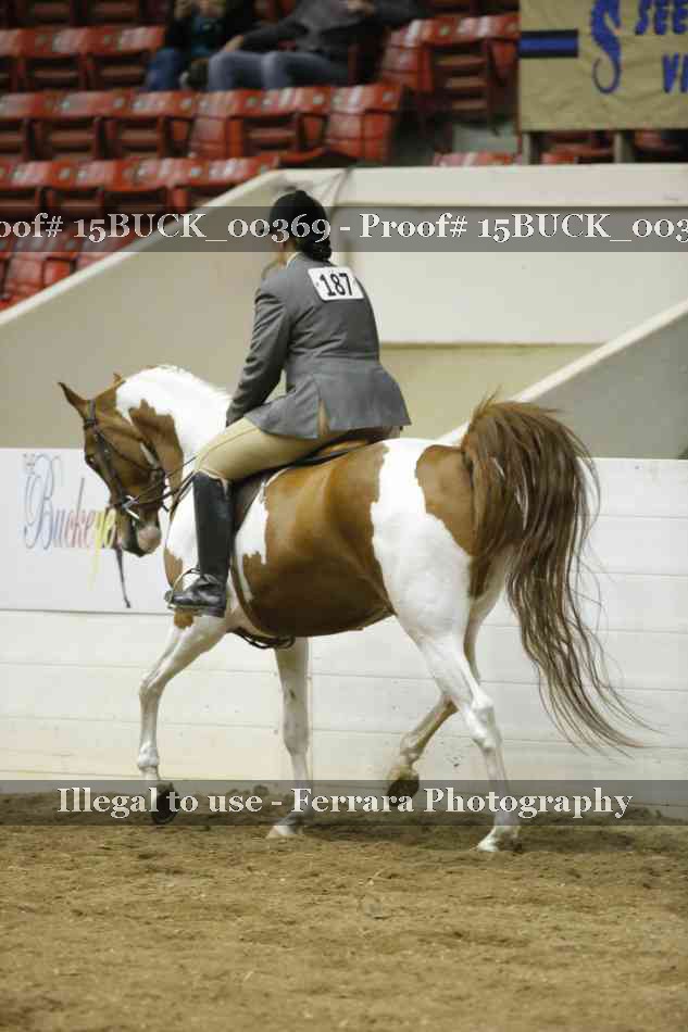 Proof 15BUCK_00369