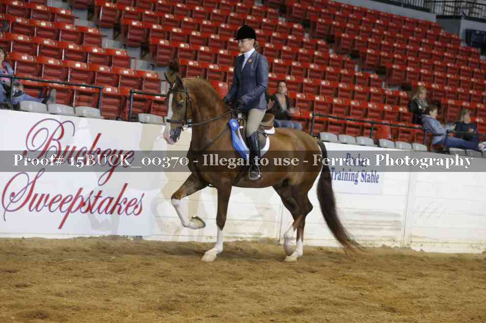 Proof 15BUCK_00370