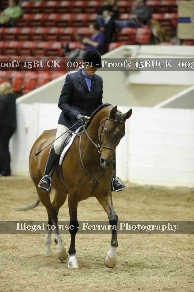 Proof 15BUCK_00371