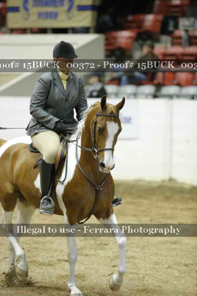 Proof 15BUCK_00372