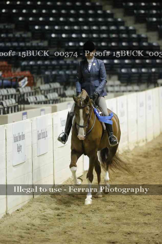 Proof 15BUCK_00374