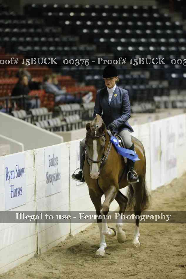 Proof 15BUCK_00375