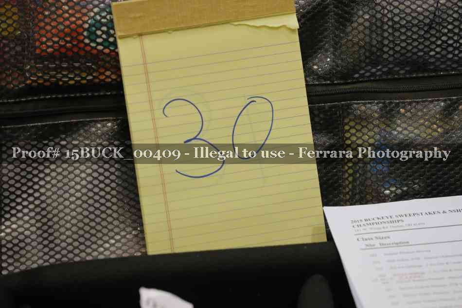 Proof 15BUCK_00409
