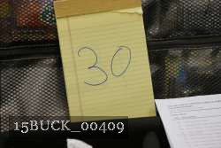 15BUCK_00409 proof