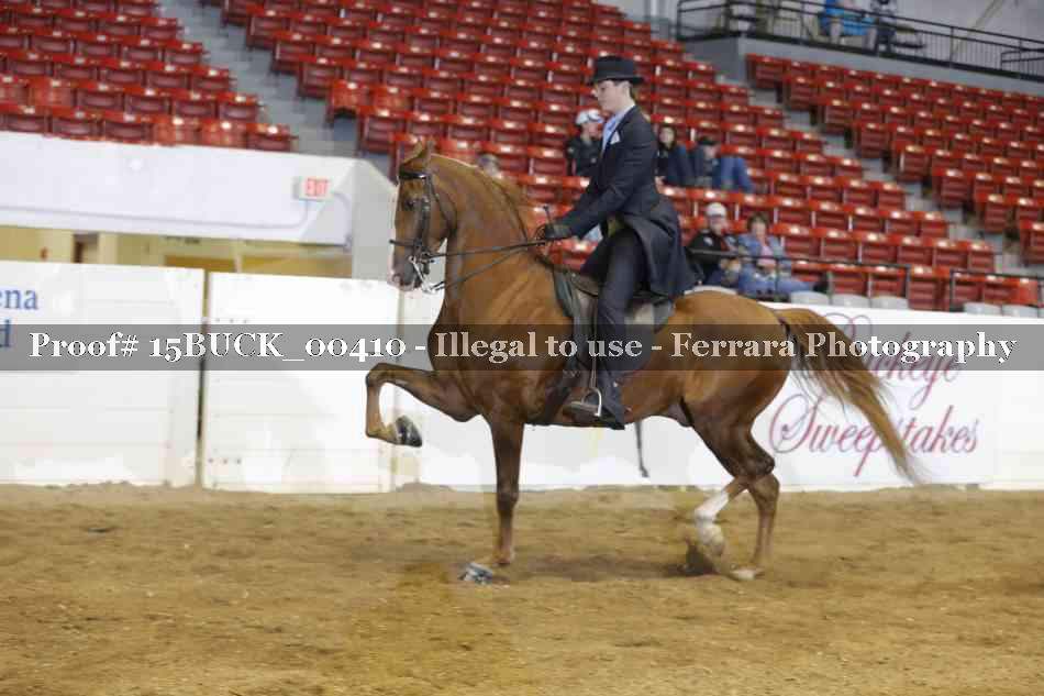 Proof 15BUCK_00410