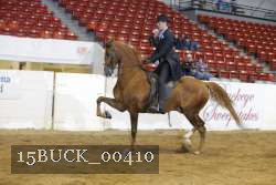 15BUCK_00410 proof