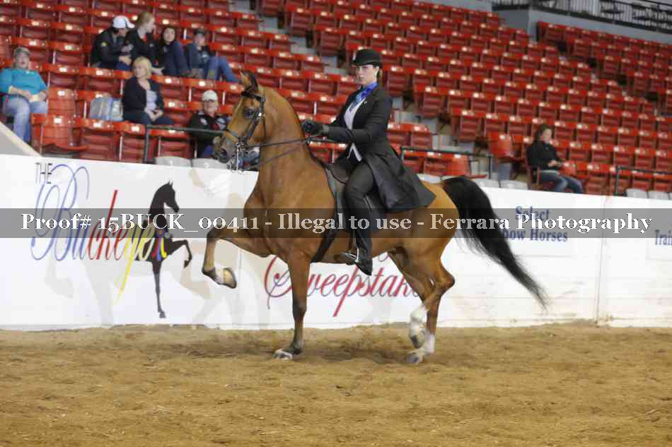 Proof 15BUCK_00411