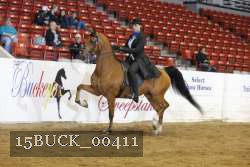 15BUCK_00411 proof