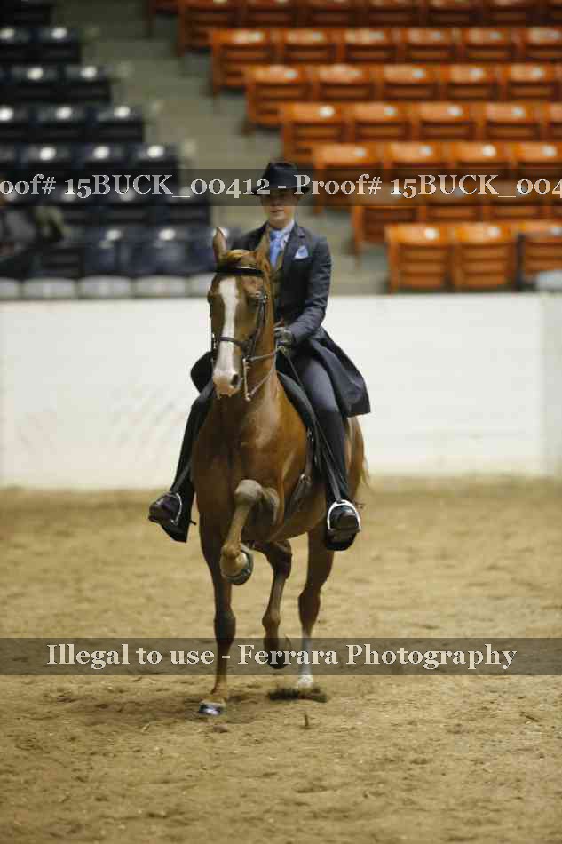 Proof 15BUCK_00412
