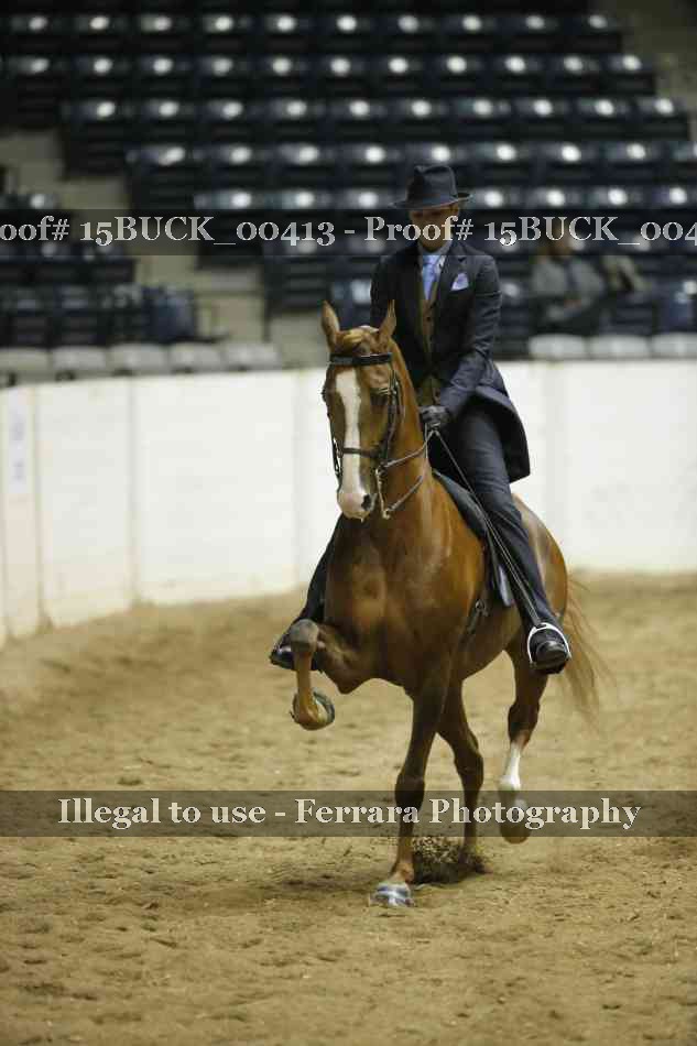 Proof 15BUCK_00413