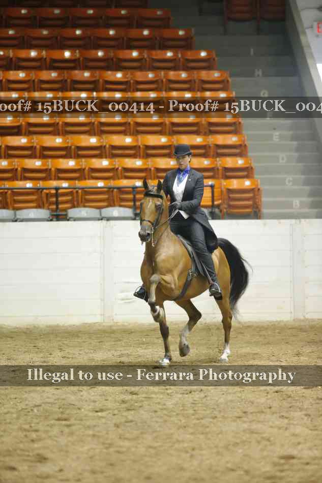 Proof 15BUCK_00414