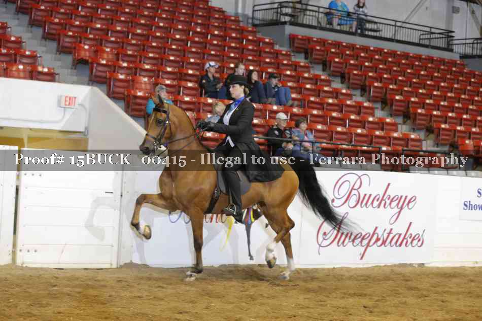 Proof 15BUCK_00415