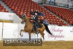 15BUCK_00415 proof