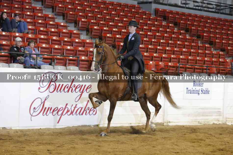 Proof 15BUCK_00416