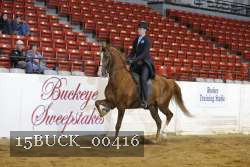 15BUCK_00416 proof
