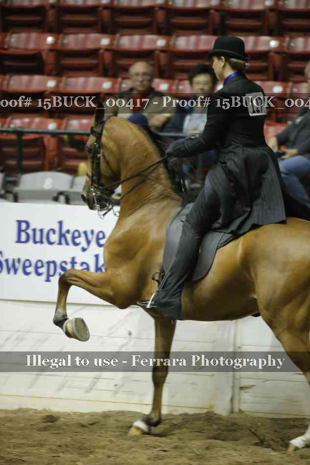Proof 15BUCK_00417