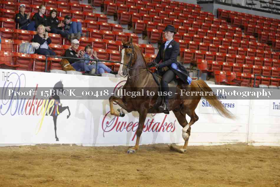 Proof 15BUCK_00418