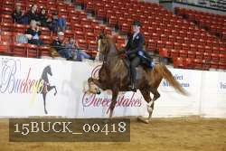 15BUCK_00418 proof