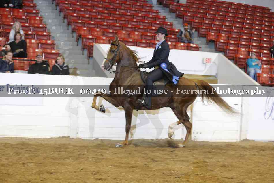 Proof 15BUCK_00419