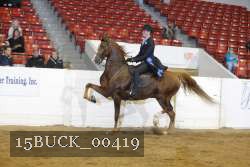 15BUCK_00419 proof