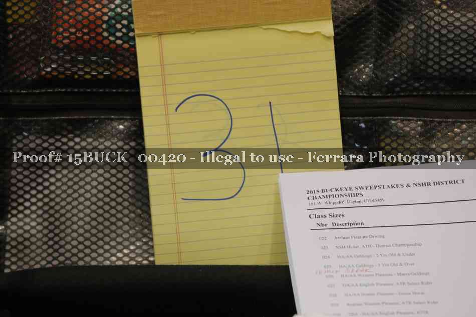 Proof 15BUCK_00420