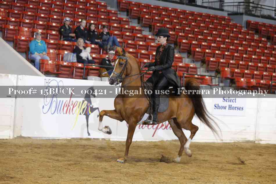 Proof 15BUCK_00421