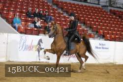 15BUCK_00421 proof