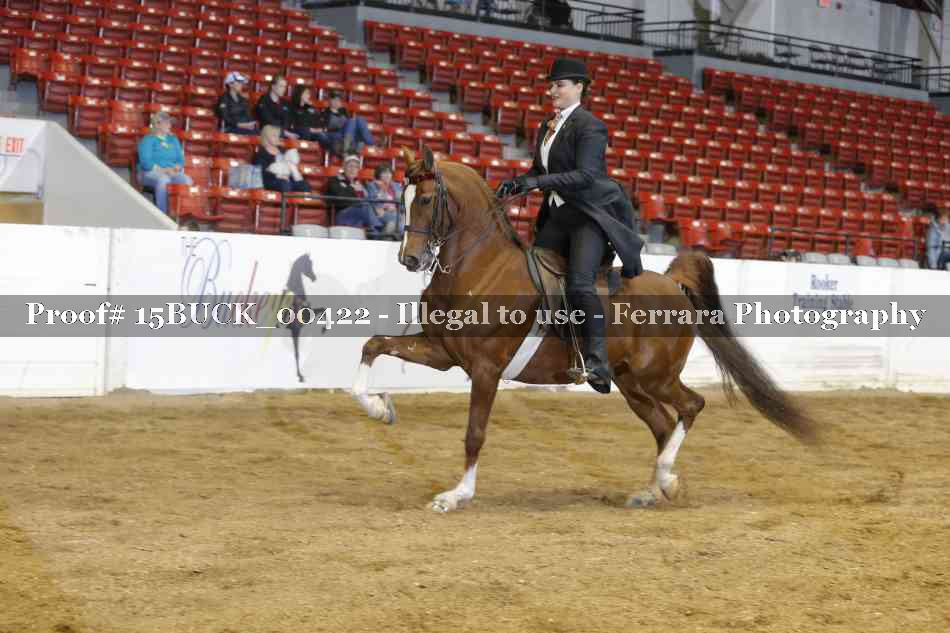 Proof 15BUCK_00422