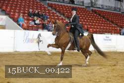 15BUCK_00422 proof