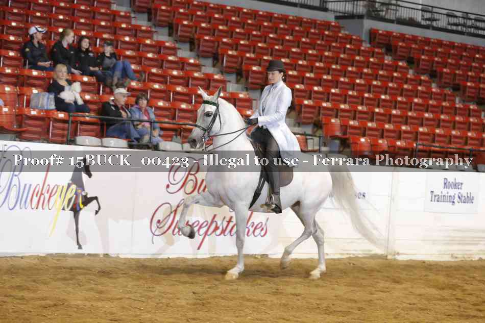Proof 15BUCK_00423