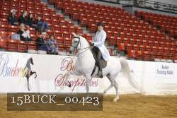 15BUCK_00423 proof
