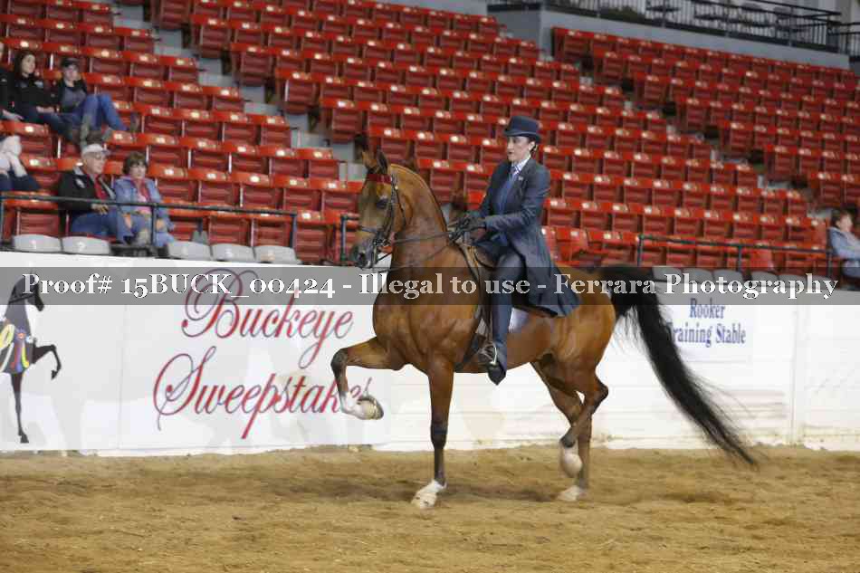Proof 15BUCK_00424