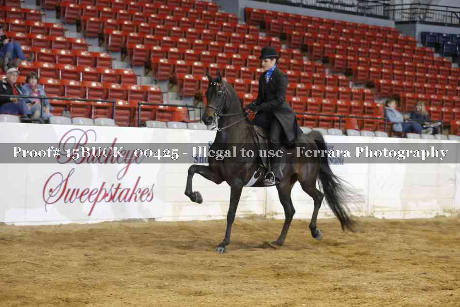 Proof 15BUCK_00425