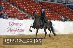 15BUCK_00425 proof