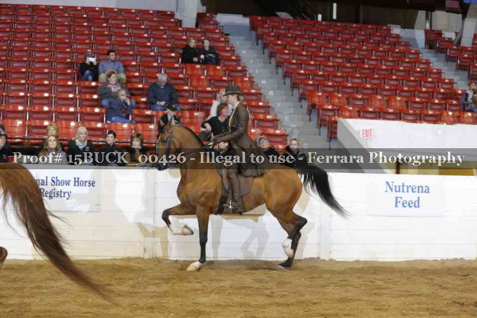 Proof 15BUCK_00426