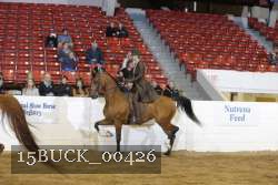 15BUCK_00426 proof