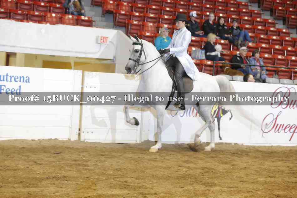 Proof 15BUCK_00427